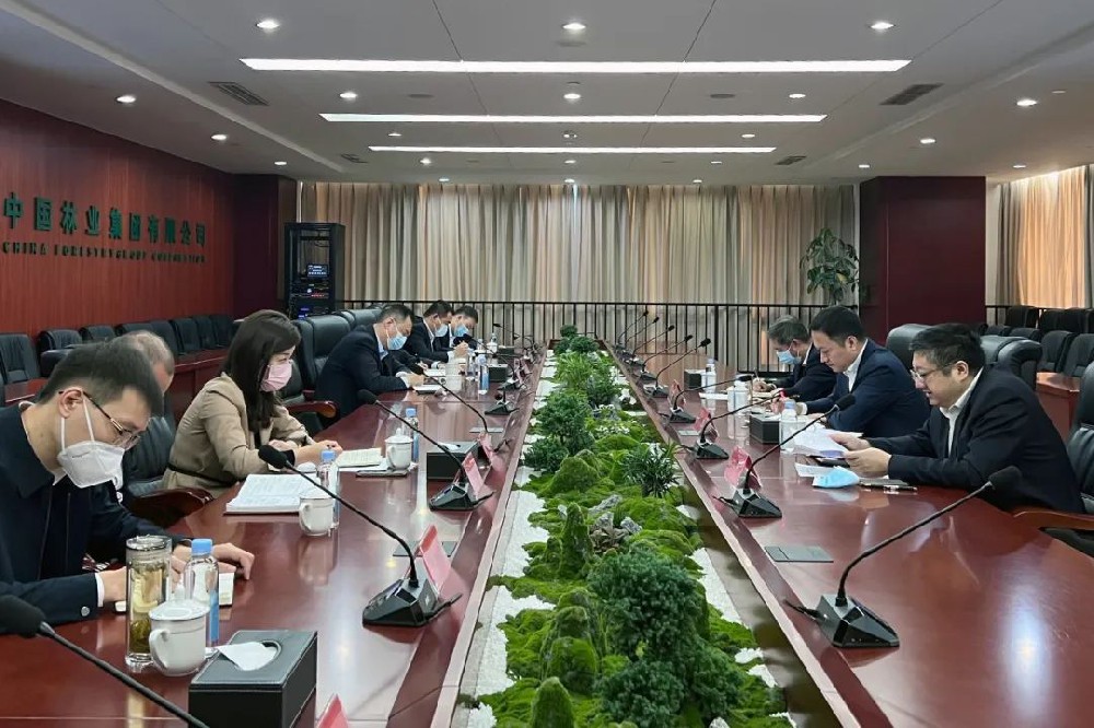 中林集團(tuán)召開木本油料工作組啟動會