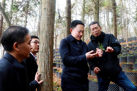 余紅輝到中林生態(tài)建設(shè)有限公司調(diào)研