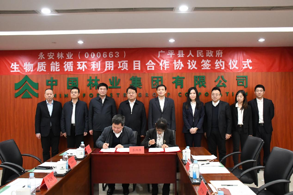 永安林業(yè)與廣平縣人民政府簽署戰(zhàn)略合作協(xié)議