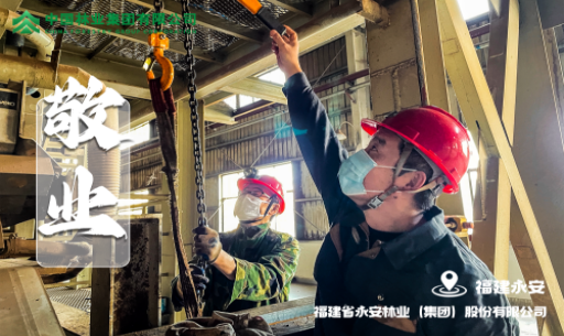 永安林業(yè)“愛(ài)崗敬業(yè)”圖榮登國(guó)務(wù)院國(guó)資委官方網(wǎng)站宣傳欄目