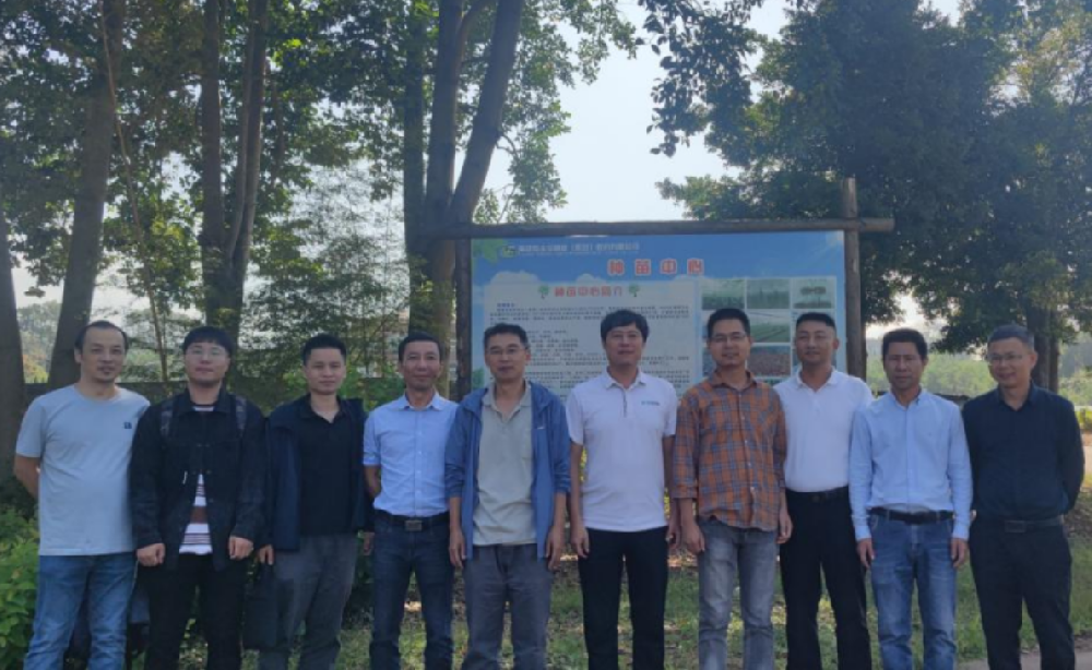 福建省“閩楠良種選育與繁殖關(guān)鍵技術(shù)研究”攻關(guān)項(xiàng)目推進(jìn)會(huì)在永安林業(yè)種苗中心召開(kāi)