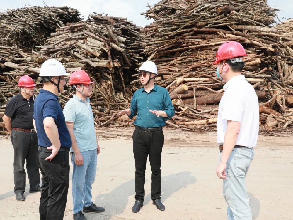 呂錦程到永安林業(yè)人造板廠、永林藍(lán)豹家居開展節(jié)前安全生產(chǎn)檢查