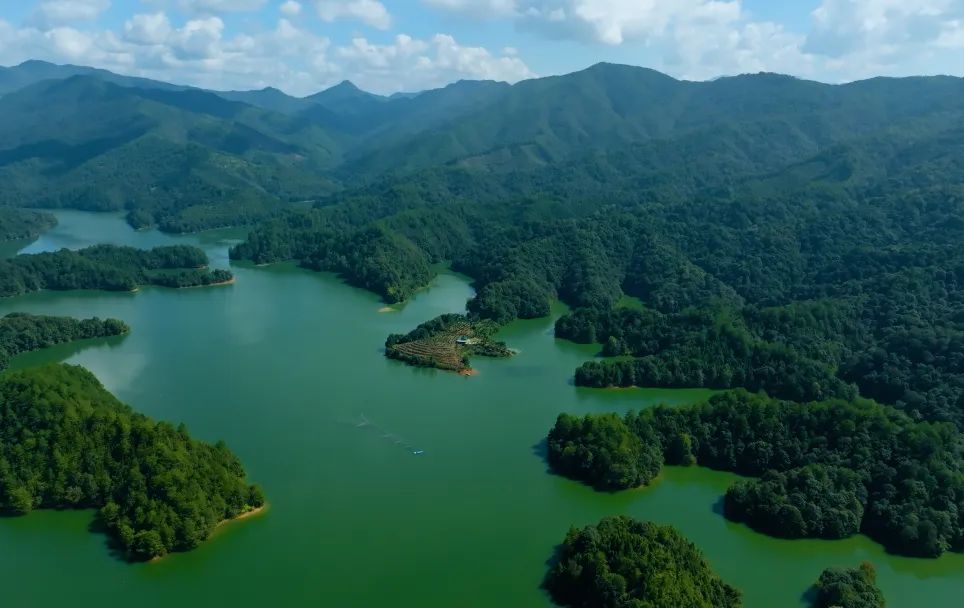 永安林業(yè)發(fā)布首份環(huán)境、社會和治理（ESG）報(bào)告