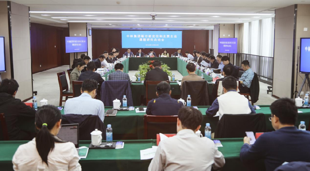 國務院國資委聯(lián)合有關部委召開中林集團新功能定位與主責主業(yè)課題研究啟動會