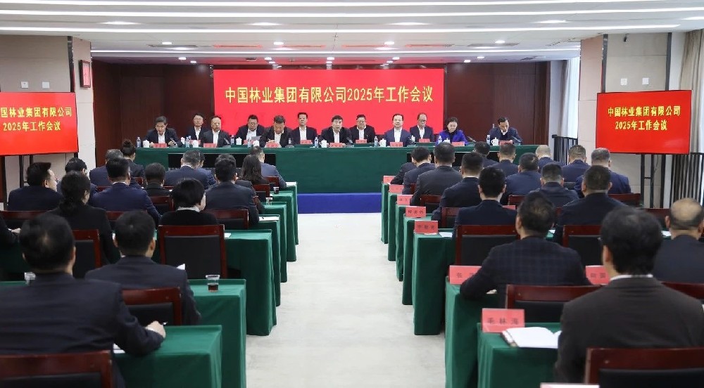 2025年：干字當(dāng)頭 篤定前行——以自我革命精神推動(dòng)中林集團(tuán)實(shí)現(xiàn)徹底重塑