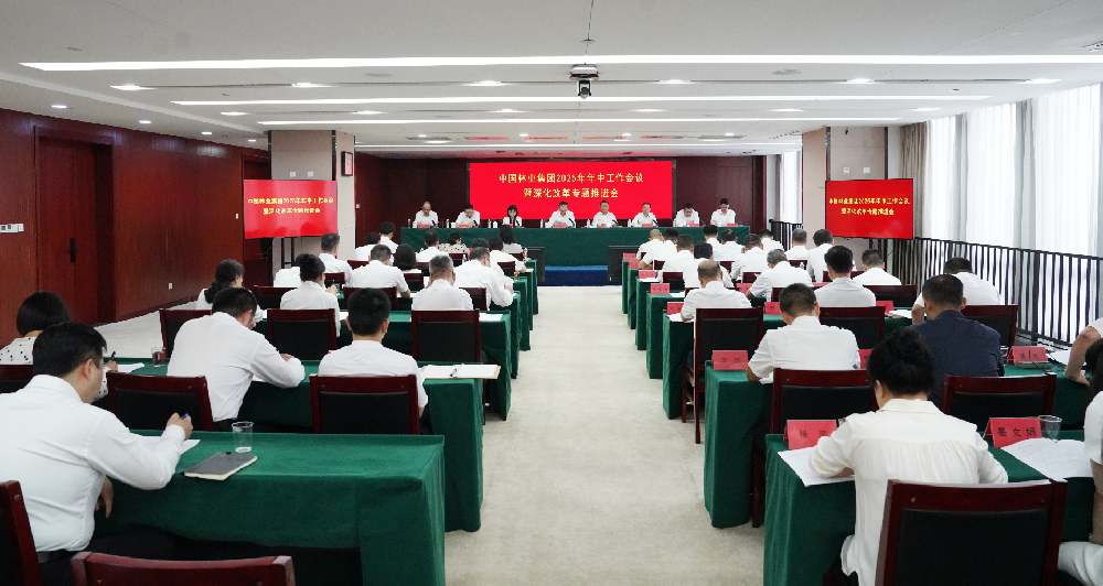 中國(guó)林業(yè)集團(tuán)召開(kāi)2025年年中工作會(huì)議暨深化改革專(zhuān)題推進(jìn)會(huì)