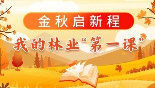 金秋啟新程，我的林業(yè)“第一課”（一）