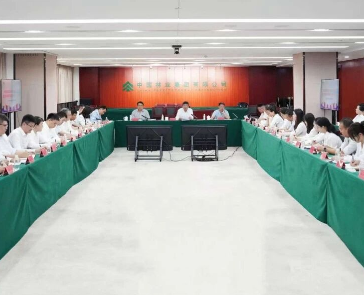 青春建功 實(shí)踐礪能——中國林業(yè)集團(tuán)召開總部青年干部基層實(shí)踐活動(dòng)成果交流會(huì)